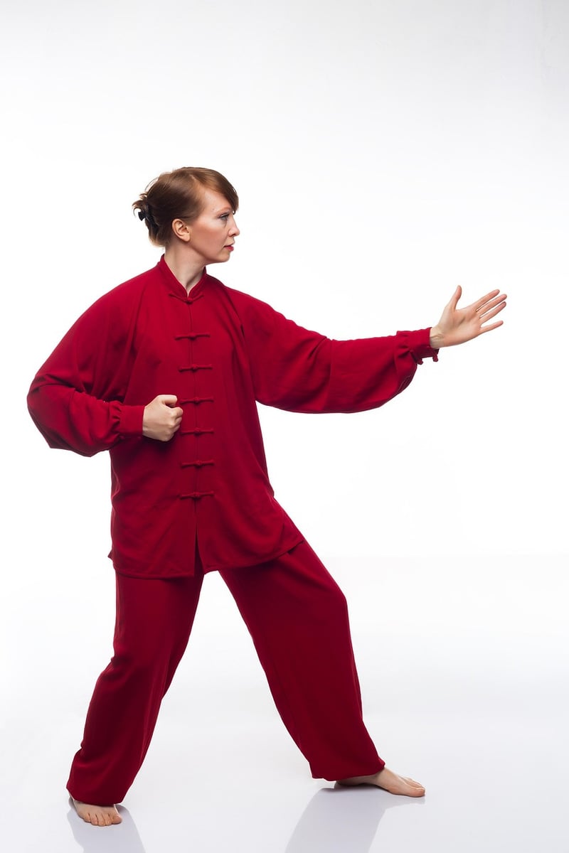 Sun Style Tai Chi Image